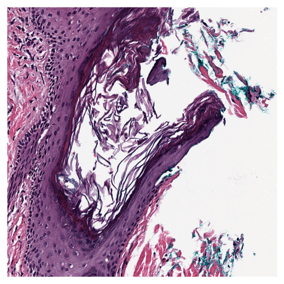 ../../_images/34be77f2a97dcb0ff80d7f73973ed3f3b582273eeeb90e07d1eac490bc63bee4.png