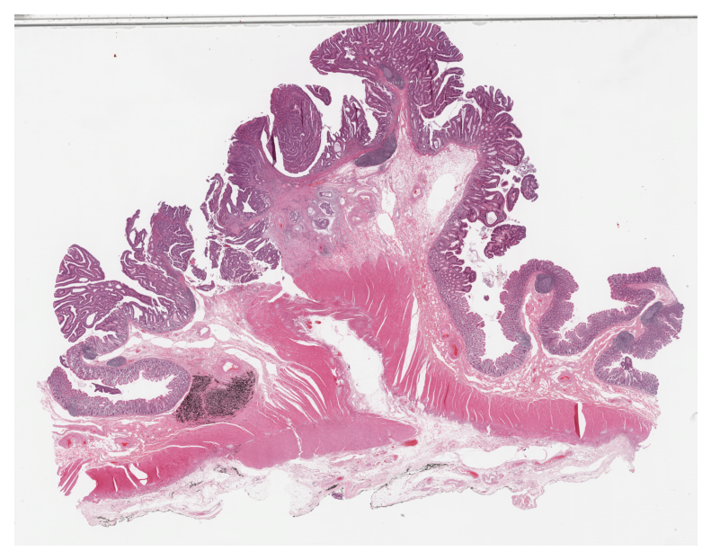 ../../_images/cd82bdb30e2b1b3a64ba00ed06c24728dc9e93dab5a5948df27280df76a90dd1.png