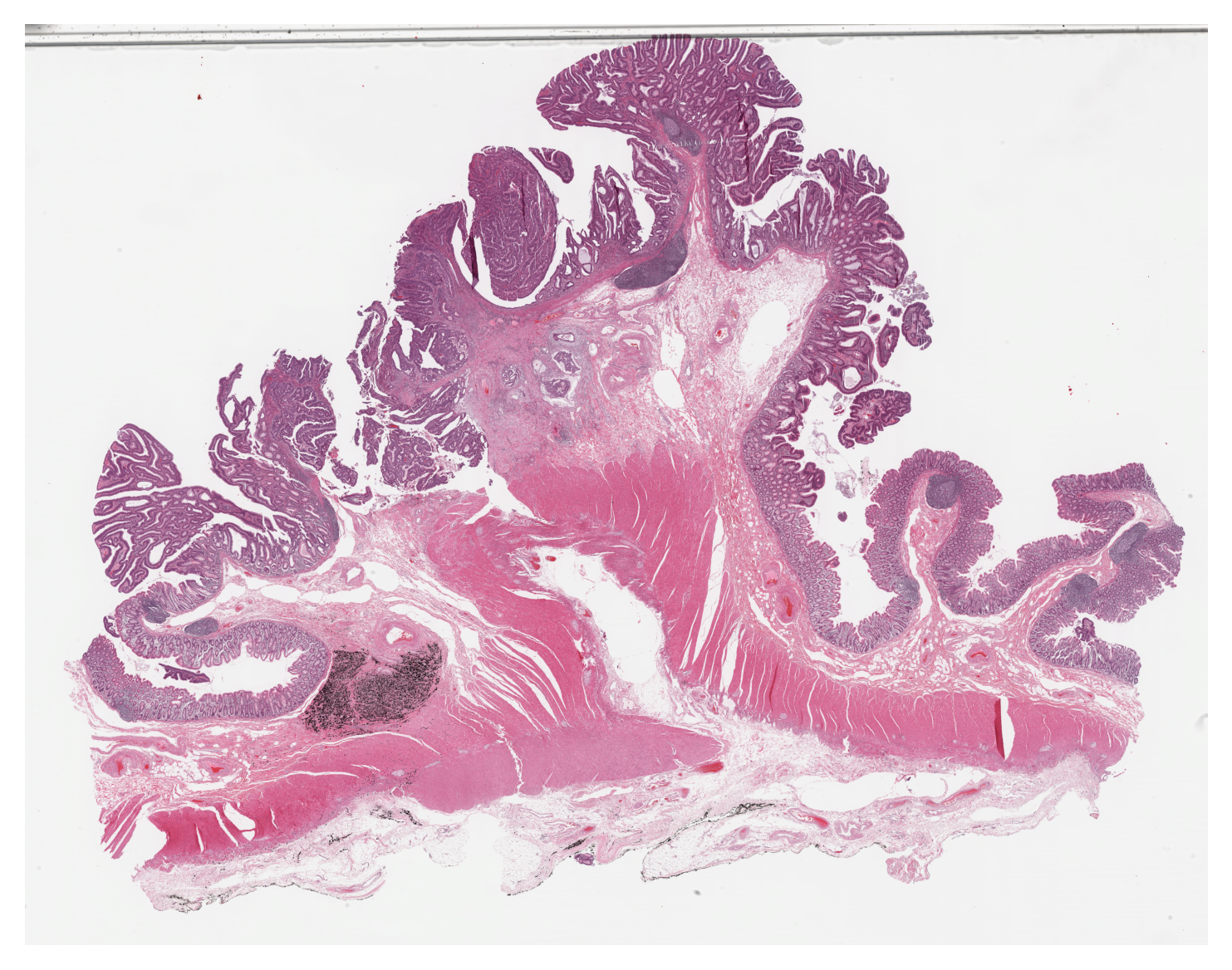 ../../_images/f6c1e0f79689d1bea03127a090fda52a99c22a0e25cbca689dc96657ae685a7b.png